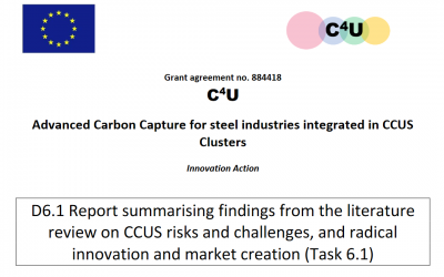 D6.1 Report summarising findings from the literature review on CCUS risks and challenges, and radical innovation and market creation