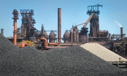 D6.5 Report describing short-listed business models in detail